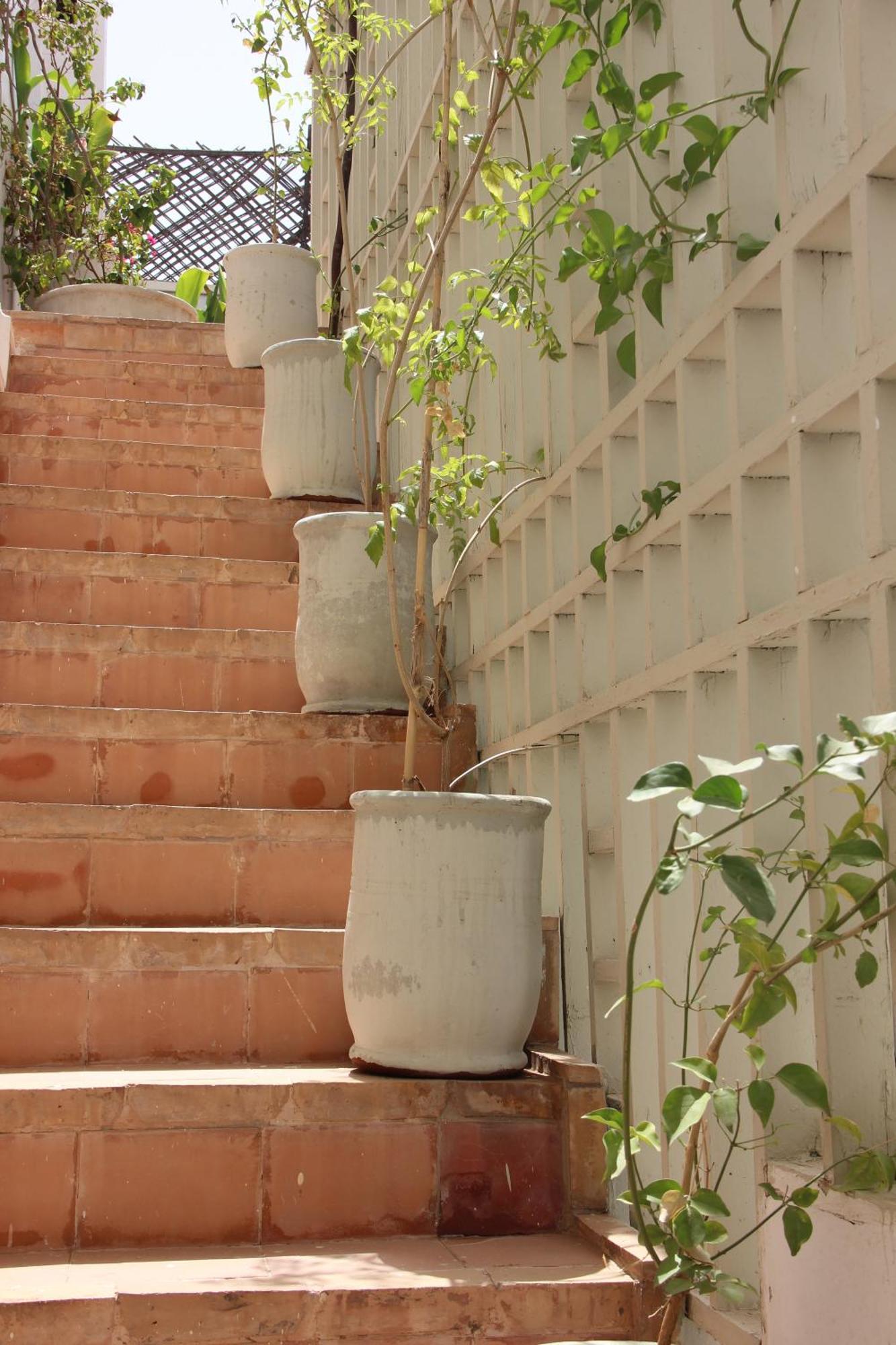Riad Dar Nael Marrakesh Exterior photo